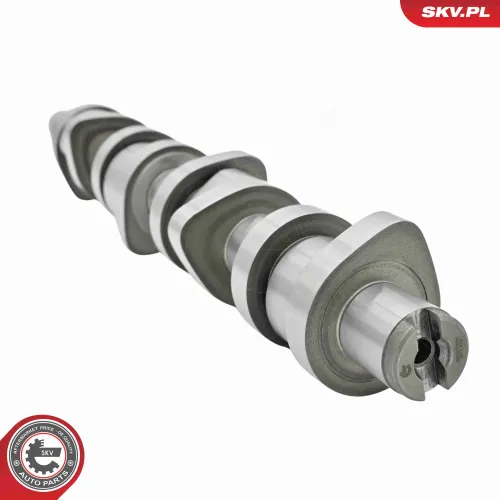 Nockenwellensatz ESEN SKV 80SKV306 Bild Nockenwellensatz ESEN SKV 80SKV306