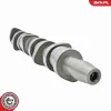Nockenwellensatz ESEN SKV 80SKV306 Bild Nockenwellensatz ESEN SKV 80SKV306