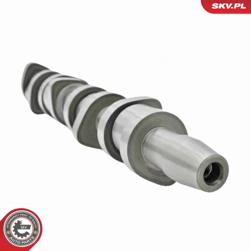 Nockenwellensatz ESEN SKV 80SKV306 Bild Nockenwellensatz ESEN SKV 80SKV306
