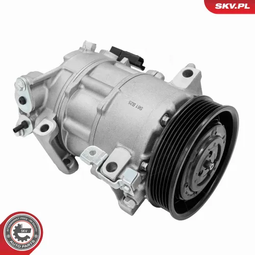 Kompressor, Klimaanlage ESEN SKV 84SKV036 Bild Kompressor, Klimaanlage ESEN SKV 84SKV036