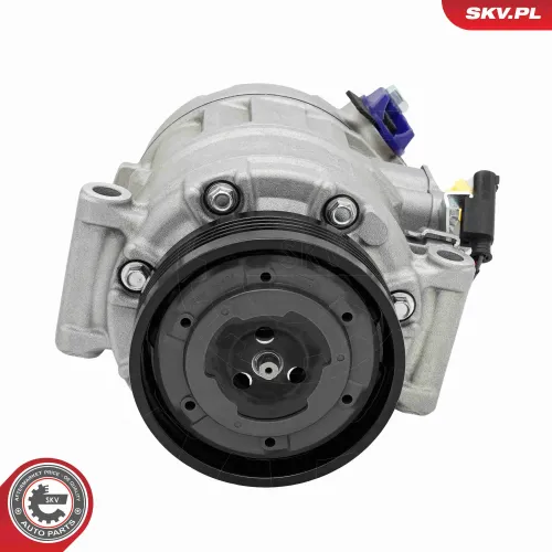 Kompressor, Klimaanlage ESEN SKV 84SKV069 Bild Kompressor, Klimaanlage ESEN SKV 84SKV069