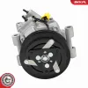 Kompressor, Klimaanlage ESEN SKV 84SKV098 Bild Kompressor, Klimaanlage ESEN SKV 84SKV098