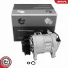 Kompressor, Klimaanlage 12 V ESEN SKV 84SKV131 Bild Kompressor, Klimaanlage 12 V ESEN SKV 84SKV131
