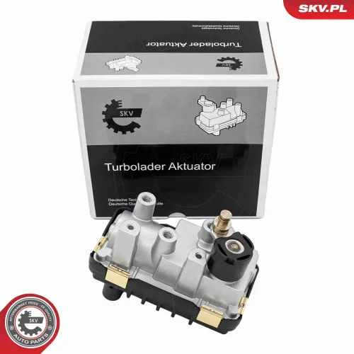 Ladedruckregelventil ESEN SKV 95SKV493 Bild Ladedruckregelventil ESEN SKV 95SKV493