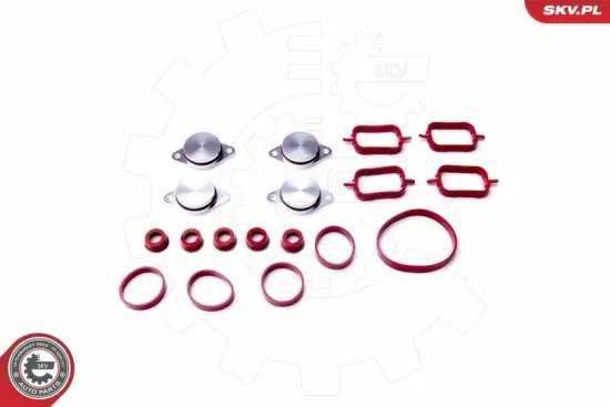 Dichtungssatz, Ansaugkrümmer ESEN SKV 96SKV053 Bild Dichtungssatz, Ansaugkrümmer ESEN SKV 96SKV053