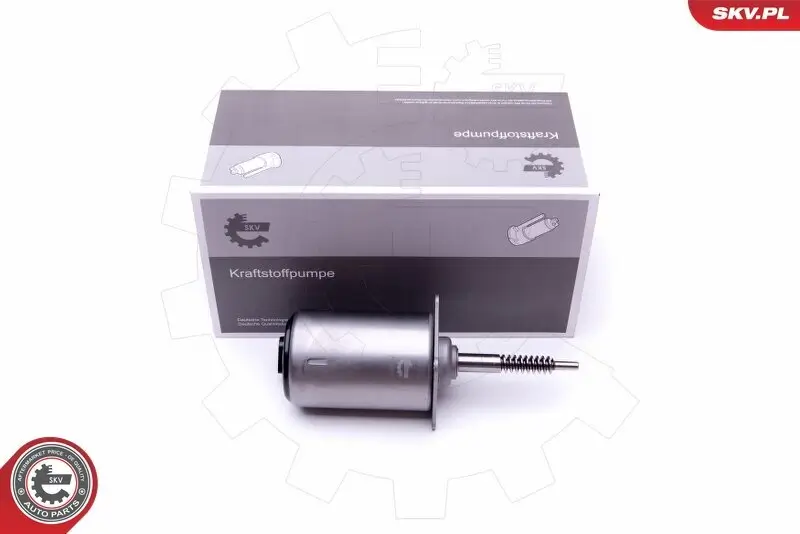 Stellelement, Exzenterwelle (variabler Ventilhub) ESEN SKV 96SKV088