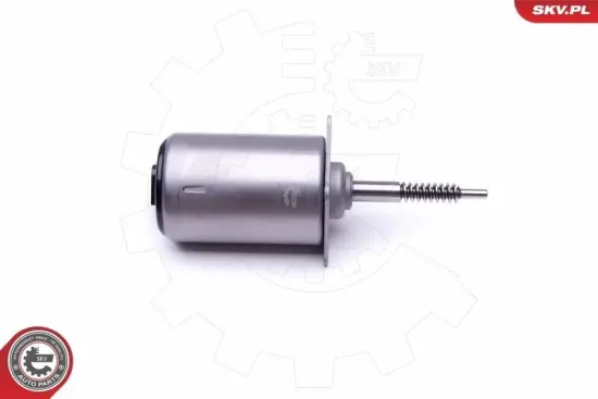 Stellelement, Exzenterwelle (variabler Ventilhub) ESEN SKV 96SKV088 Bild Stellelement, Exzenterwelle (variabler Ventilhub) ESEN SKV 96SKV088