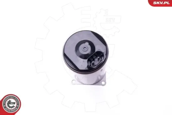 Stellelement, Exzenterwelle (variabler Ventilhub) ESEN SKV 96SKV088 Bild Stellelement, Exzenterwelle (variabler Ventilhub) ESEN SKV 96SKV088