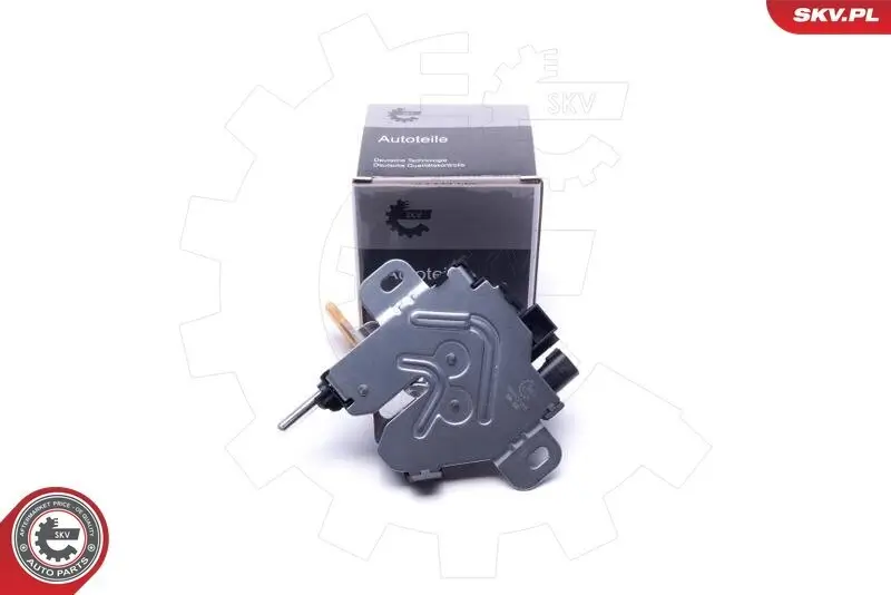 Türaußengriff Fahrzeugtür ESEN SKV 96SKV165