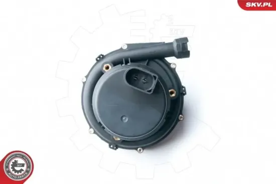 Sekundärluftpumpe 12 V ESEN SKV 96SKV201 Bild Sekundärluftpumpe 12 V ESEN SKV 96SKV201