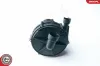 Sekundärluftpumpe 12 V ESEN SKV 96SKV201 Bild Sekundärluftpumpe 12 V ESEN SKV 96SKV201