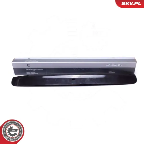 Clip, Zier-/Schutzleiste ESEN SKV 96SKV821 Bild Clip, Zier-/Schutzleiste ESEN SKV 96SKV821