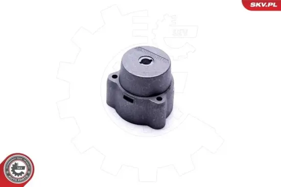 Zünd-/Startschalter ESEN SKV 96SKV931 Bild Zünd-/Startschalter ESEN SKV 96SKV931