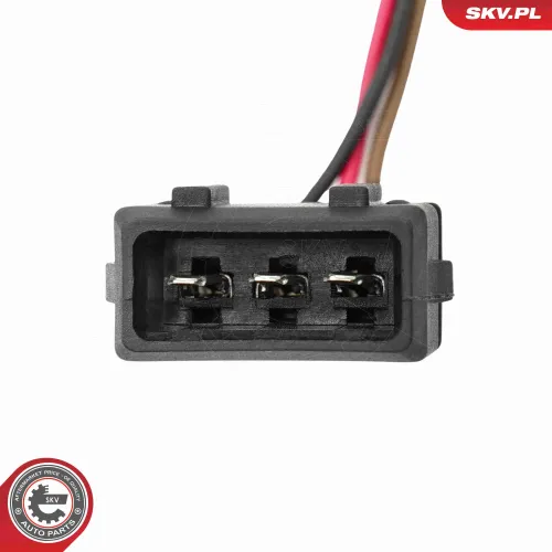 Türaußengriff hinten links ESEN SKV 97SKV168 Bild Türaußengriff hinten links ESEN SKV 97SKV168