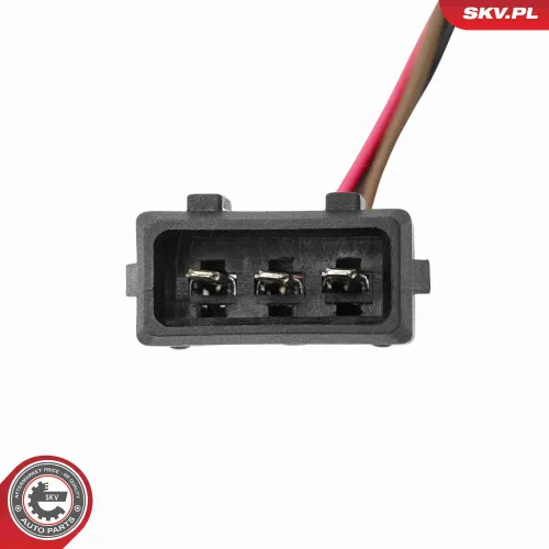 Türaußengriff hinten rechts ESEN SKV 97SKV169 Bild Türaußengriff hinten rechts ESEN SKV 97SKV169