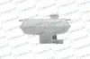 Ausgleichsbehälter, Kühlmittel TRICLO 481049