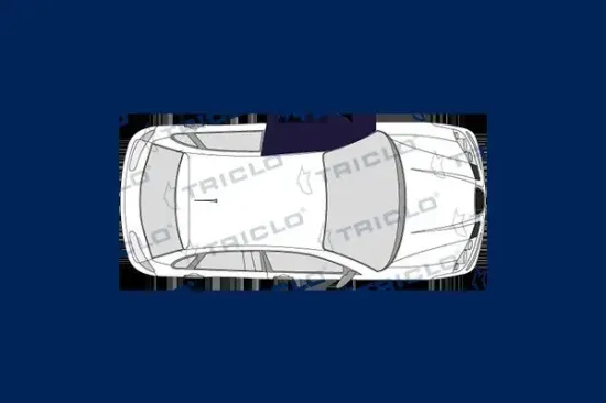 Fensterheber vorne links TRICLO 105507 Bild Fensterheber vorne links TRICLO 105507