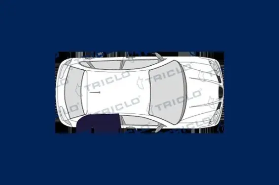 Türaußengriff außen hinten rechts TRICLO 128485 Bild Türaußengriff außen hinten rechts TRICLO 128485