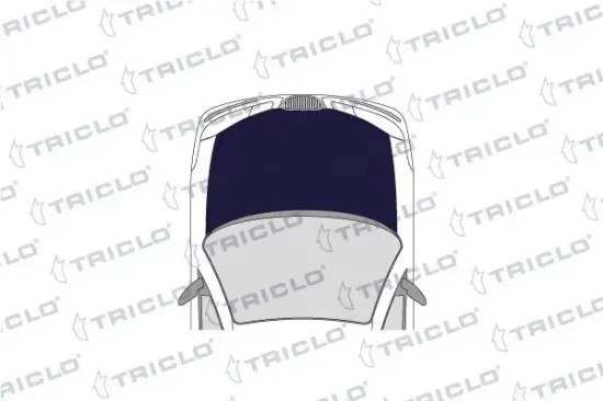 Waschwasserpumpe, Scheibenreinigung 12 V TRICLO 190366 Bild Waschwasserpumpe, Scheibenreinigung 12 V TRICLO 190366