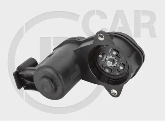 Stellelement, Feststellbremse Bremssattel Hinterachse beidseitig B CAR 009BM001