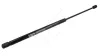 Gasfeder, Koffer-/Laderaum hinten HART 807 287