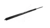 Gasfeder, Koffer-/Laderaum hinten HART 810 277