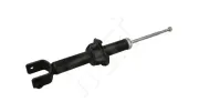 Stoßdämpfer Hinterachse HART 805 893