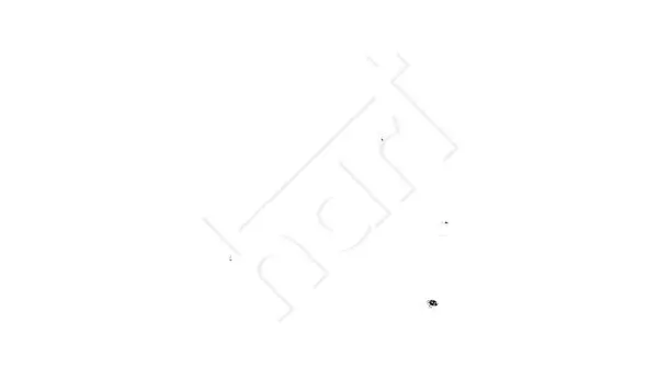 Kühlerschlauch HART 620 684