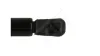 Gasfeder, Motorhaube vorne HART 813 988 Bild Gasfeder, Motorhaube vorne HART 813 988