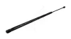 Gasfeder, Koffer-/Laderaum hinten HART 812 814