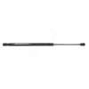 Gasfeder, Koffer-/Laderaum hinten HART 814 484