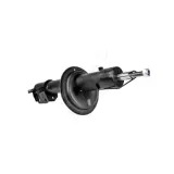 Stoßdämpfer links HART 813 885