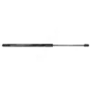 Gasfeder, Koffer-/Laderaum hinten HART 815 853