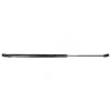 Gasfeder, Koffer-/Laderaum hinten HART 815 931