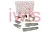 Steuerkettensatz iwis Motorsysteme 71861Set Bild Steuerkettensatz iwis Motorsysteme 71861Set