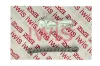 Kettensatz, &Ouml;lpumpenantrieb iwis Motorsysteme 75738Set