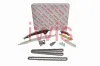 Steuerkettensatz iwis Motorsysteme 75851Set