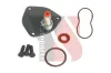 Reparatursatz, Unterdruckpumpe (Bremsanlage) YSPARTS YS-VP13XLB01