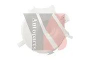 Ausgleichsbehälter, Kühlmittel YSPARTS YS-ET005