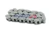 Steuerkette BOGAP A1310113 Bild Steuerkette BOGAP A1310113