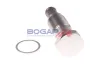 Spanner, Steuerkette BOGAP A1312108 Bild Spanner, Steuerkette BOGAP A1312108