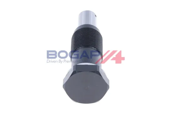 Spanner, Steuerkette BOGAP A1312110 Bild Spanner, Steuerkette BOGAP A1312110