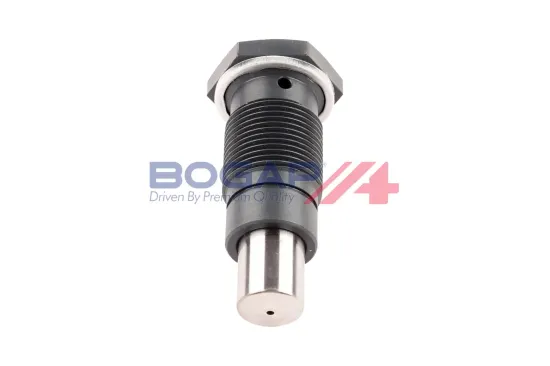Spanner, Steuerkette BOGAP A1312110 Bild Spanner, Steuerkette BOGAP A1312110
