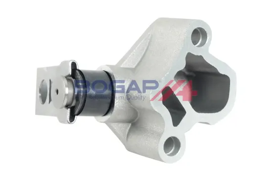 Spanner, Steuerkette BOGAP A1312111 Bild Spanner, Steuerkette BOGAP A1312111