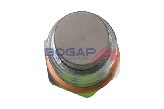 Spanner, Steuerkette BOGAP A1312115 Bild Spanner, Steuerkette BOGAP A1312115