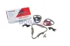 Steuerkettensatz BOGAP A1328234