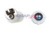 Kraftstoffpumpe 12 V BOGAP A1622136 Bild Kraftstoffpumpe 12 V BOGAP A1622136