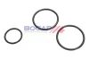 Kraftstoffpumpe BOGAP A1622138 Bild Kraftstoffpumpe BOGAP A1622138