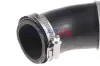 Ladeluftschlauch BOGAP A1711300 Bild Ladeluftschlauch BOGAP A1711300