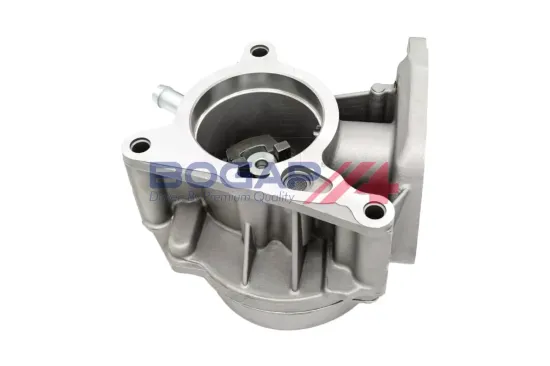 Unterdruckpumpe, Bremsanlage BOGAP A1916117 Bild Unterdruckpumpe, Bremsanlage BOGAP A1916117